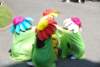 dsc_0082_small.jpg