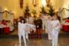 dsc_0144_small.jpg