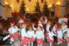 dsc_0218_small.jpg