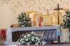 dsc_0117_small.jpg