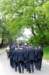 dsc_0186_small.jpg