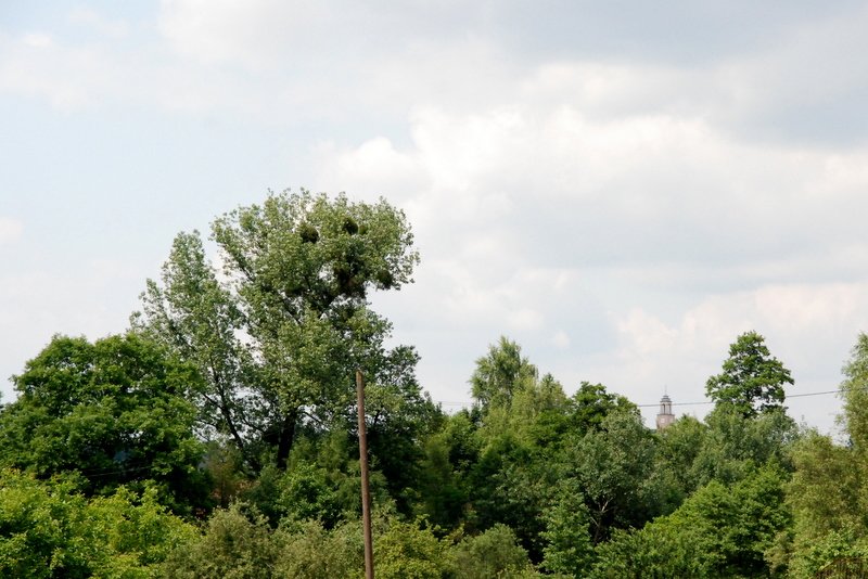 dsc_0193.jpg