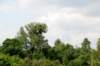 dsc_0193_small.jpg