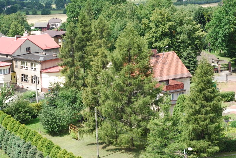dsc_0186.jpg