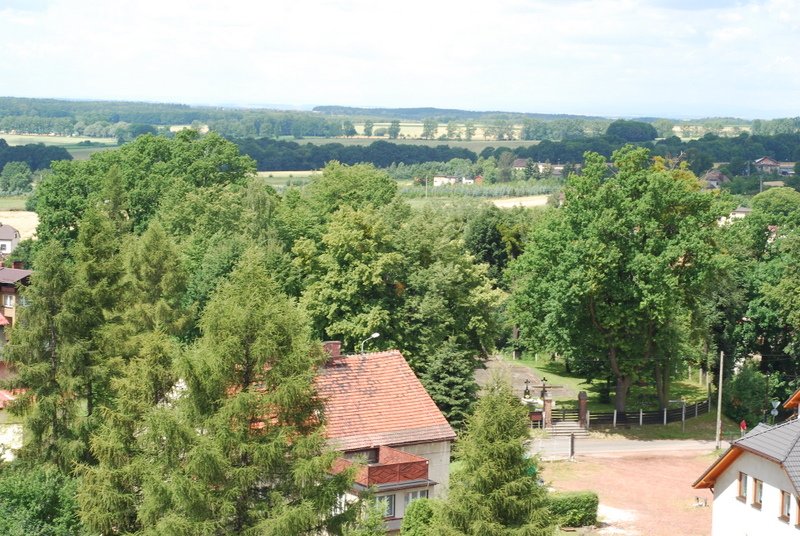 dsc_0215.jpg