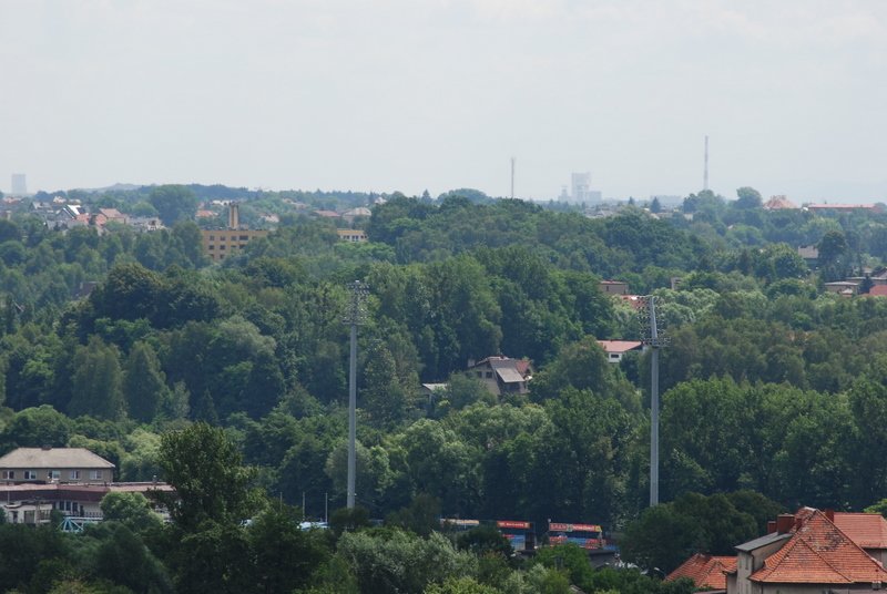 dsc_0243.jpg