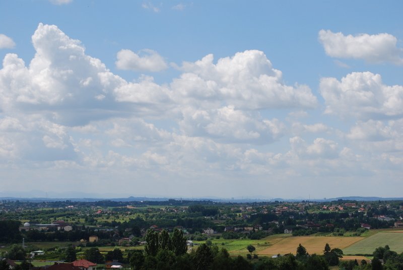 dsc_0303.jpg