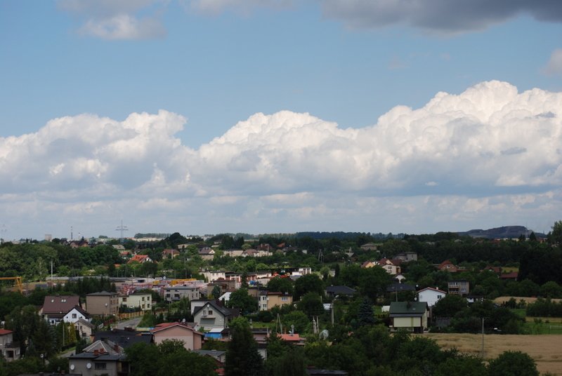 dsc_0317.jpg