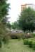 dsc_0640_small.jpg