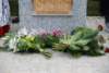 dsc_0738_small.jpg