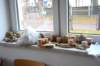 dsc_3617_small.jpg