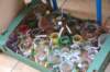 dsc_3618_small.jpg