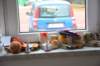 dsc_3624_small.jpg