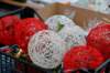 dsc_3664_small.jpg