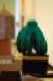 dsc_0004_small.jpg