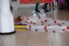 dsc_0062_small.jpg