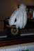 dsc_0132_small.jpg