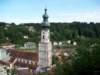 _0314_small.jpg