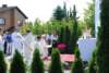 dsc_0084_small.jpg