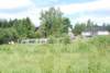 dsc_0110_small.jpg
