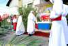 dsc_0157_small.jpg