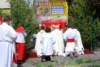dsc_0170_small.jpg