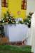 dsc_0221_small.jpg