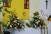 dsc_0227_small.jpg