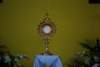 dsc_0236_small.jpg