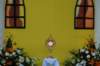 dsc_0238_small.jpg