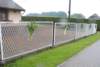 dsc_0037_small.jpg