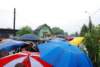 dsc_0156_small.jpg
