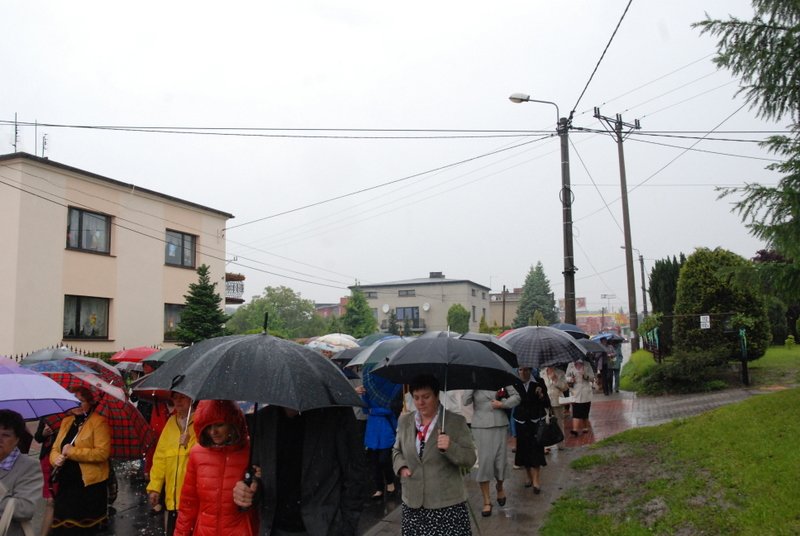 dsc_0178.jpg