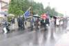dsc_0247_small.jpg