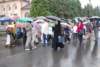 dsc_0261_small.jpg