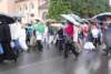 dsc_0264_small.jpg