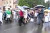 dsc_0265_small.jpg