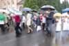 dsc_0266_small.jpg