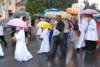 dsc_0272_small.jpg