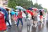 dsc_0278_small.jpg