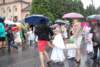 dsc_0284_small.jpg