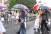 dsc_0288_small.jpg