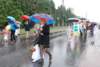 dsc_0292_small.jpg