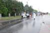 dsc_0308_small.jpg