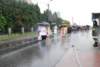 dsc_0320_small.jpg