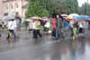 dsc_0345_small.jpg
