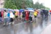dsc_0350_small.jpg