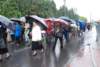 dsc_0369_small.jpg