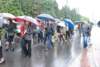 dsc_0372_small.jpg