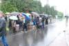 dsc_0378_small.jpg